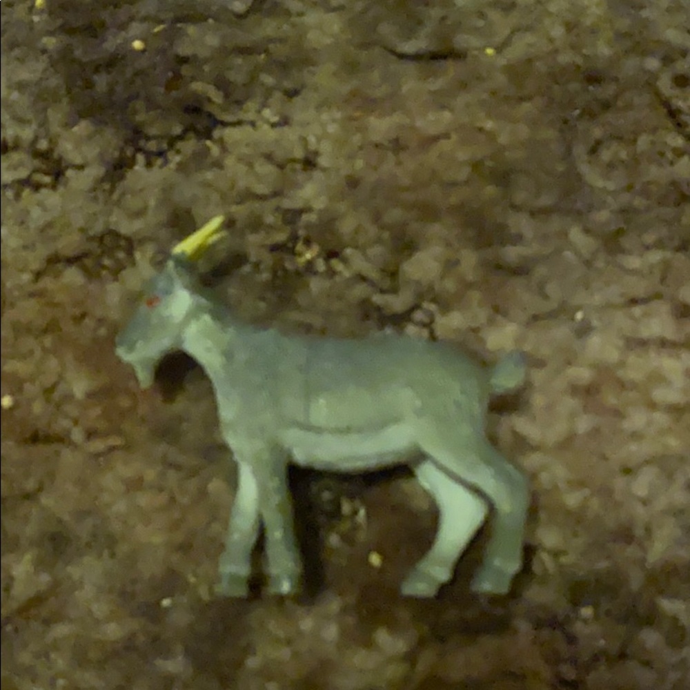Toy goat for kids.
